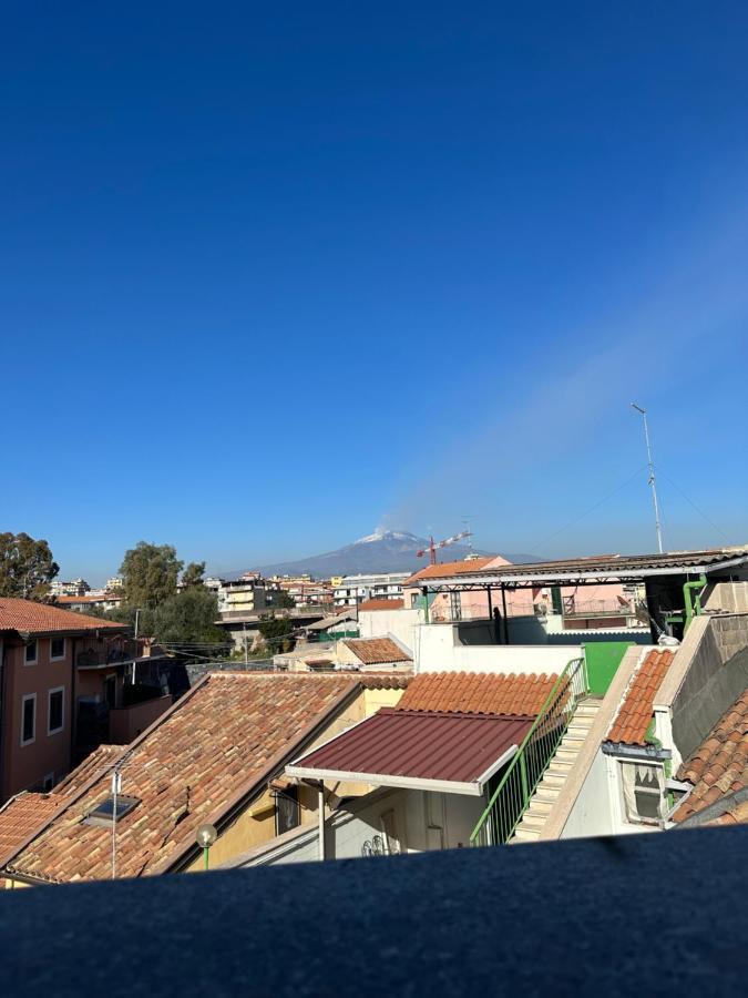 Curia Apartment